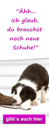 Hier entdecken