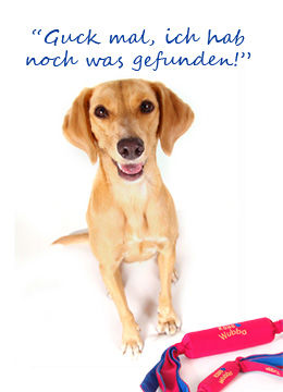 Hier entdecken