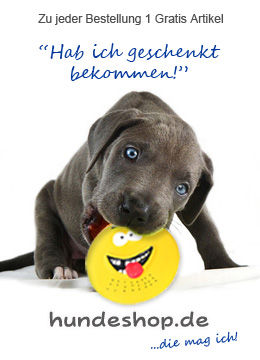 Hier entdecken