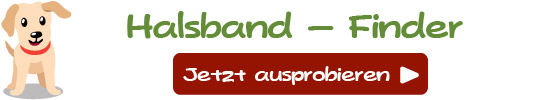 Hundehalsband Checker
