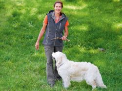 Deine Hundetrainings-Weste