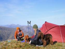 Camping mit Hund