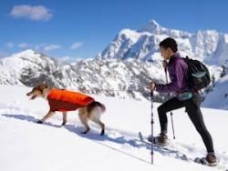 Die richtige Ruffwear Hundejacke finden