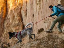 Ruffwear Hundegeschirre im Vergleich