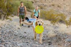 Mit Ruffwear Produkten kühl bleiben im Sommer