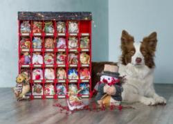 Ein Adventskalender für Deinen Hund