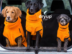 Dryup Cape Hundebademantel Produkttest