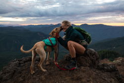 Wandern mit dem Hund Teil 2