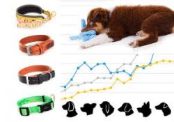 Der Hundehalsband Finder