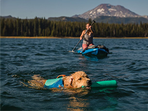 Hundesport - Wasserarbeit