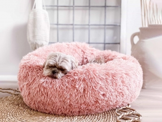 Hund in rosa Plüschkörbchen