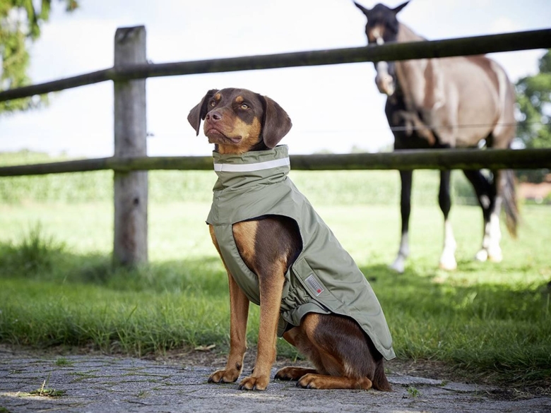 Wolters Modern Classic Hundemantel