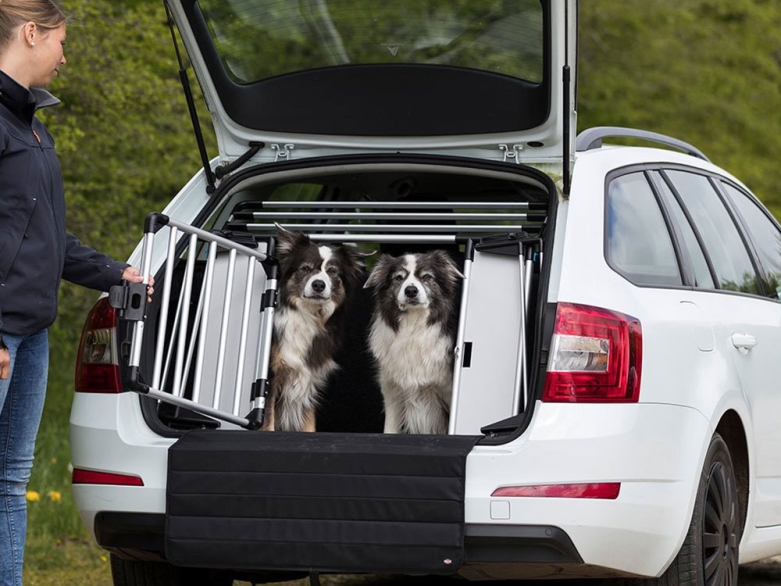 Hunde im Auto (Trixie)