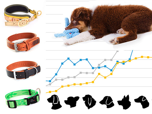 Der Hundehalsband Finder