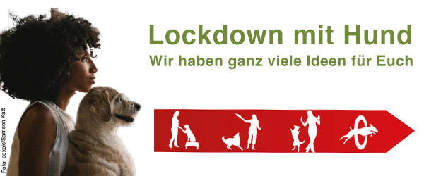 Hunde im Lockdown Ratgeber