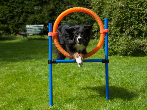 Agility Sprungring