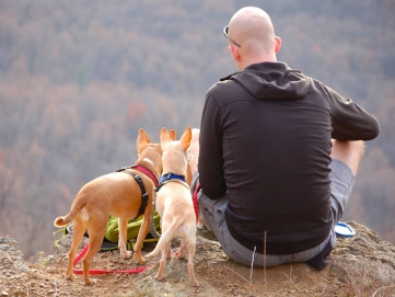 Mann mit 2 Hunden