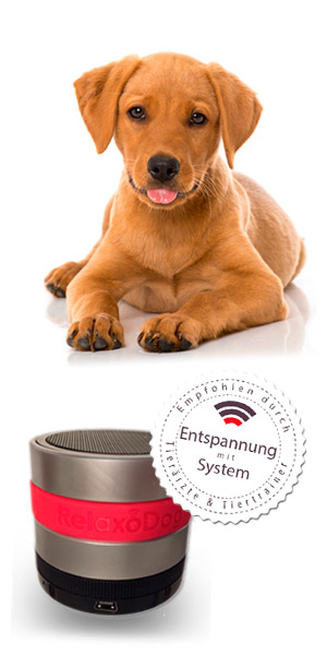RelaxoDog Entspannung Erfahrungen