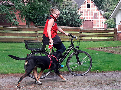 Ruffwear Geschirr und Bike