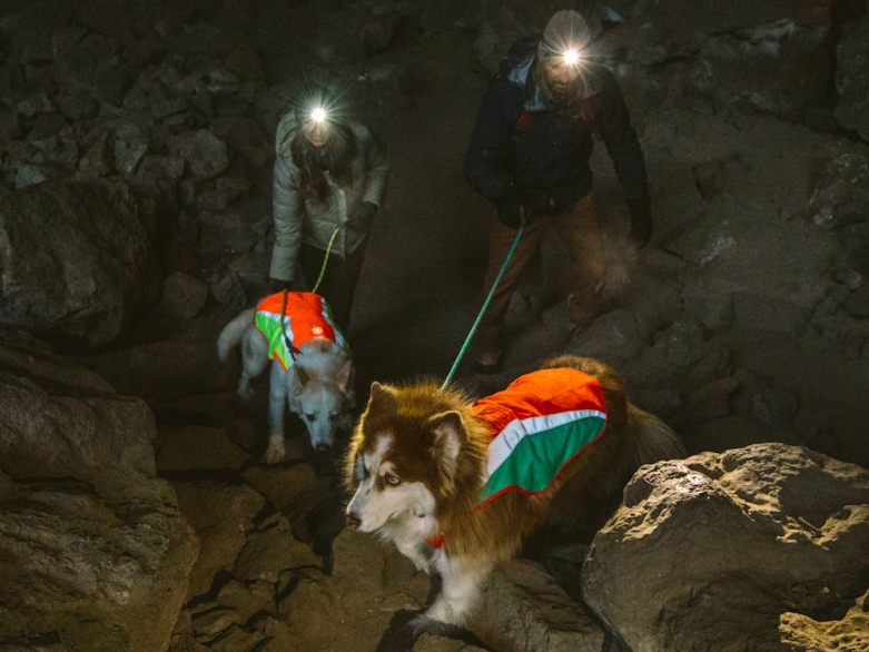 Hunde und Menschen mit Licht Ruffwear