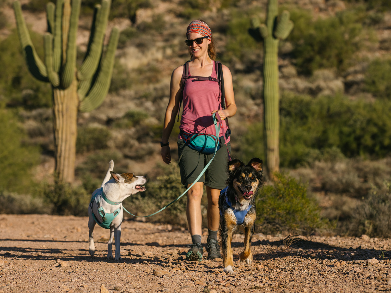 Mit Ruffwear Produkten kühl bleiben im Sommer
