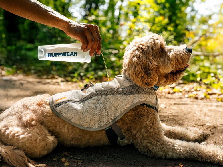 Hund mit Ruffwear Kühlweste