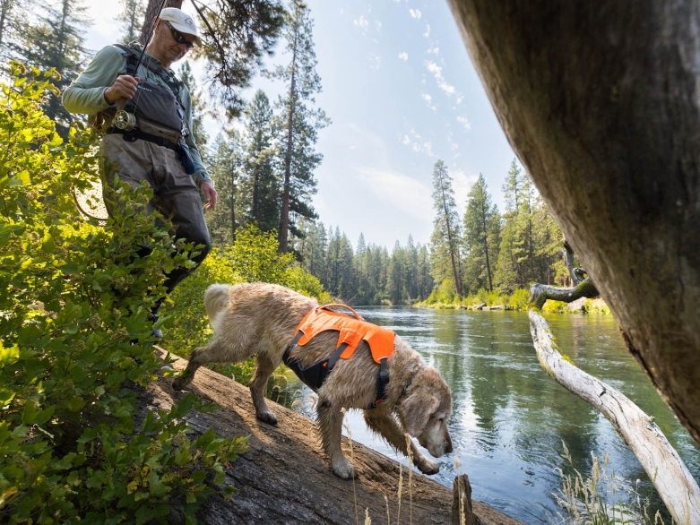 Hund und Mensch am Flussufer, Ruffwear