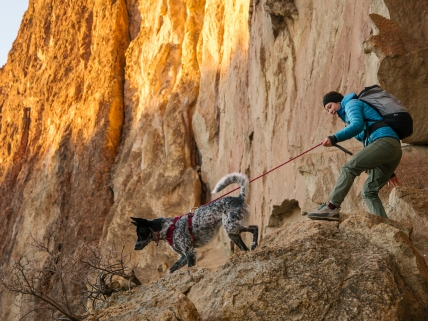 Hund und Mensch im Gebirge<br>