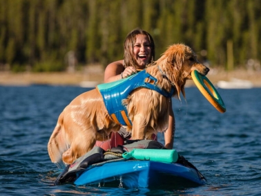 Ruffwear Hund mit Schwimmweste