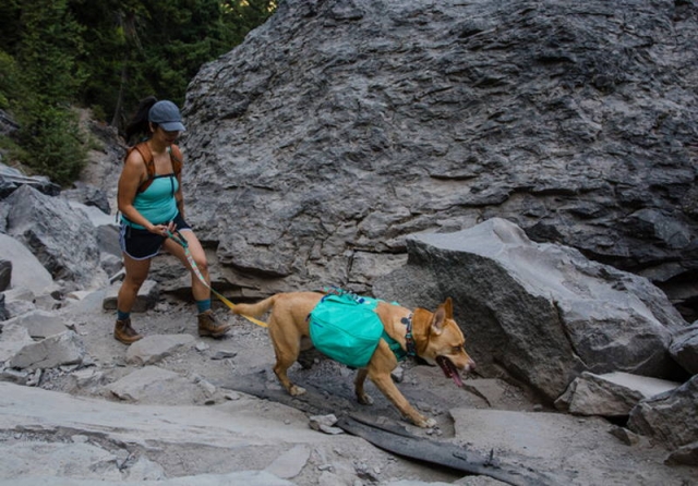 Ruffwear Front Range Pack