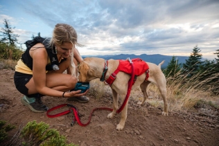 Ruffwear Switchbak