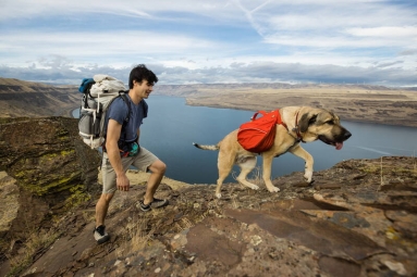 Ruffwear Palisades Hunderucksack