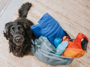 Hund mit Reisetasche Ruffwear Ausrüstung