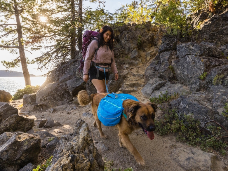 Hund und Frau mit Rucksäcken