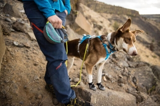 Ruffweear Hitch Hiker Hundeleine<br>