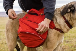 Hunderucksack Ruffwear<br>