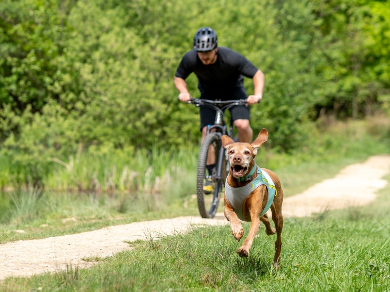 Mann mit Fahrrad und Hund, Foto: Ruffwear
