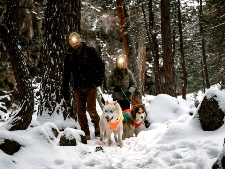 2 Menschen mit Hunden im Schnee