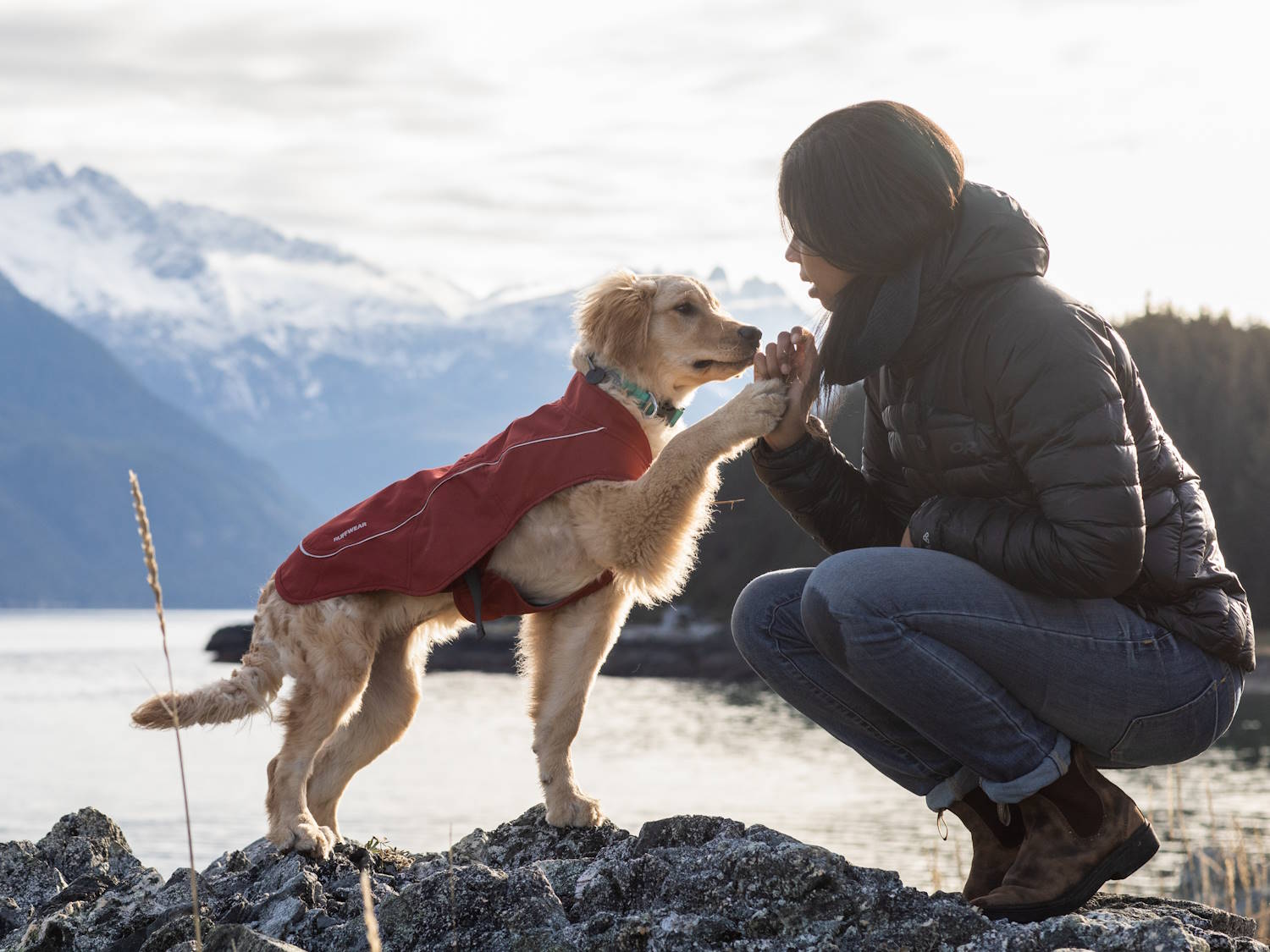 Die richtige Ruffwear Hundejacke finden