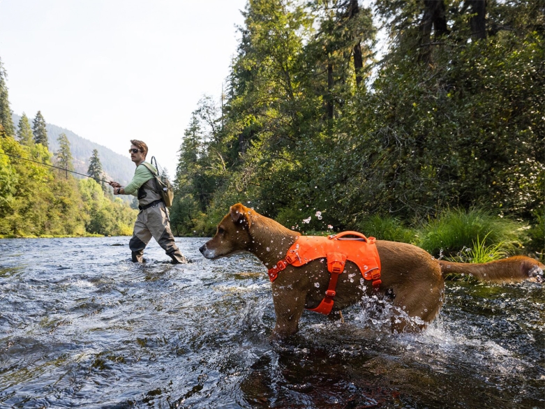 Hund mit Ruffwear WebMaster Geschirr mit Mensch beim Angeln