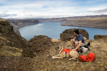 Ruffwear Palisades