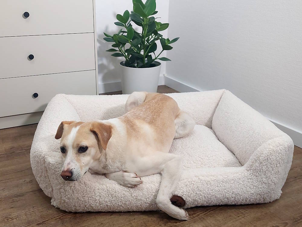 Finde das perfekte Hundebett fr deinen Hund | Hundeshop.de