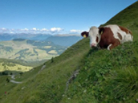 So wird die Wandertour zum gemeinsamen Vergnügen