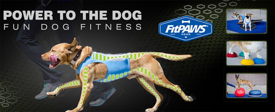 kjole Sløset dilemma FitPAWS® Sportgeräte Fun – Dog – Fitness | Hundeshop.de