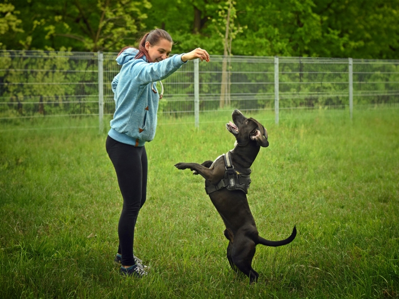 Frau tanzt mit Hund