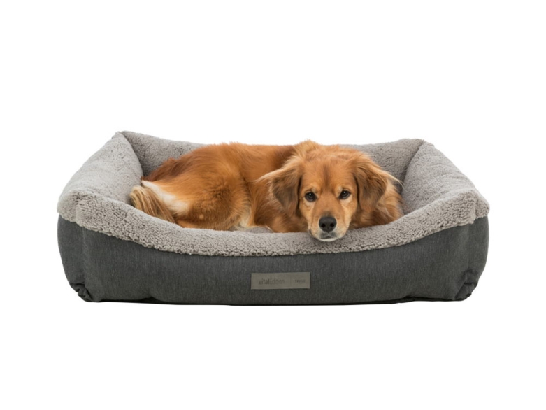 Hund im Trixie Hundebett