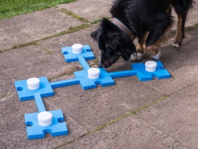 Hund mit Schnüffelspiel