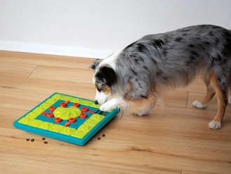 Hund mit Nina Ottosson Spielzeug<br>