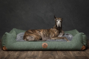 Hund im Hundebett