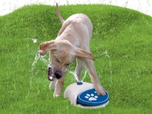 Hund mit Splash Wasserspender<br>